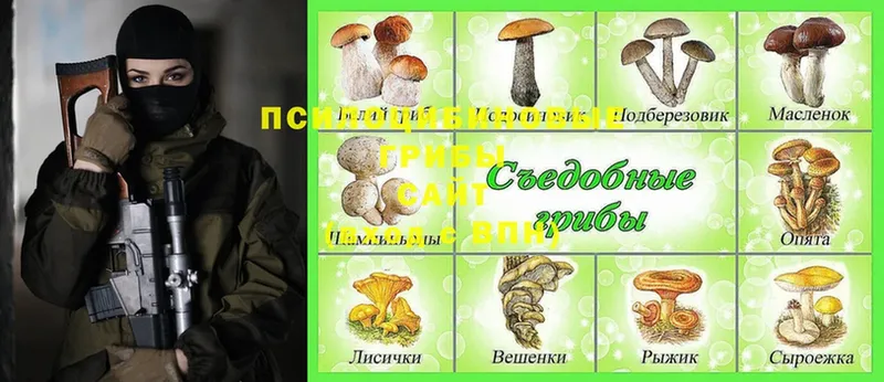 Галлюциногенные грибы Magic Shrooms  Мурино 